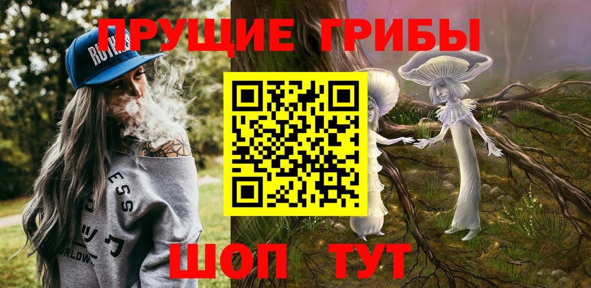 Галлюциногенные грибы GOLDEN TEACHER Каспийск
